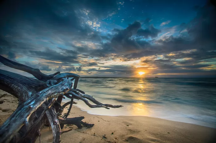 Deretan 3 Pantai Terbaik di Sumatera Barat untuk Nikmati Sunset, Punya Pesona Cakrawala Indah hingga Kesan Romantis yang Kental