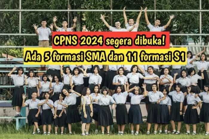Inilah 16 Formasi CPNS 2024 untuk S1 dan SMA, Mulai Basarnas hingga...