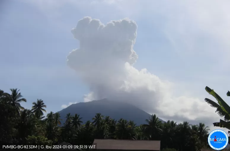 Gunung Ibu Kembali Erupsi Pagi Ini, Lontarkan Abu Vulkanik Setinggi 2.325 Meter di Atas Permukaan Laut