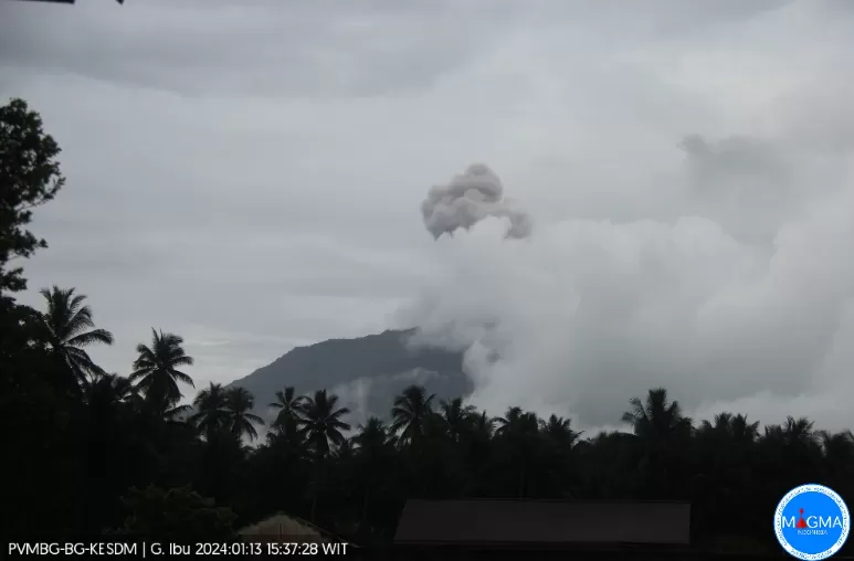 Gunung Ibu Kembali Erupsi Sore Ini, Lontarkan Abu Vulkanik 1.925 MDPL