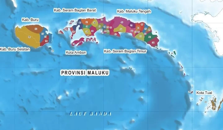Luasnya 254,39 Km2! Daerah Terkecil di Maluku Ini Ternyata Hasil Pemekaran Kabupaten: Baru Berusia 16 Tahun