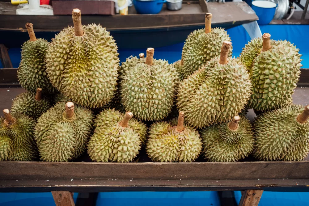 TEKA-TEKI: Buah Apa yang Isinya Durian tapi Kulitnya Berduri, Apa itu? Ternyata ini Jawaban Tebak-Tebakan atau TTS Jokes