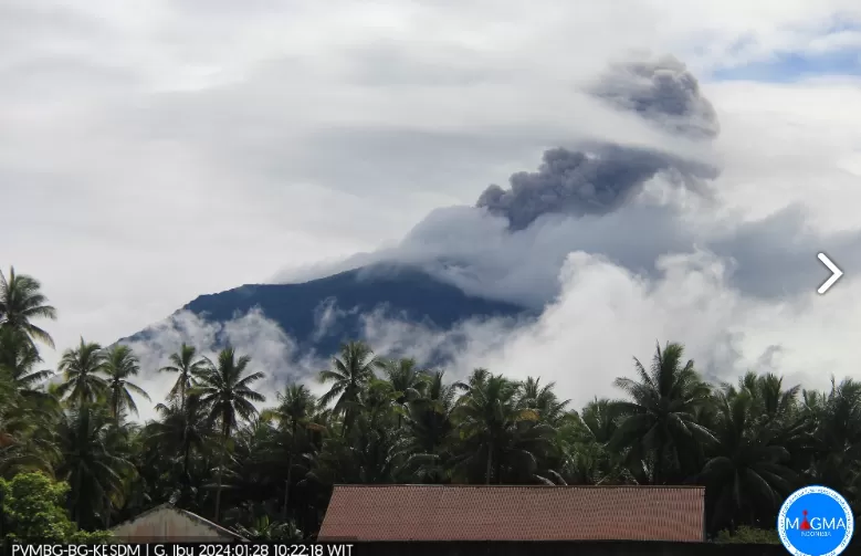 Gempa Vulkanik Dangkal 235 Kali, Gunung Ibu Kembali Muntahkan Abu Vulkanik Tebal Hari Ini