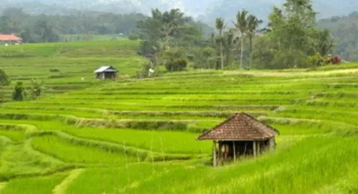 Daftar 5 Kabupaten di Jawa Barat dengan Jumlah Desa Terbanyak