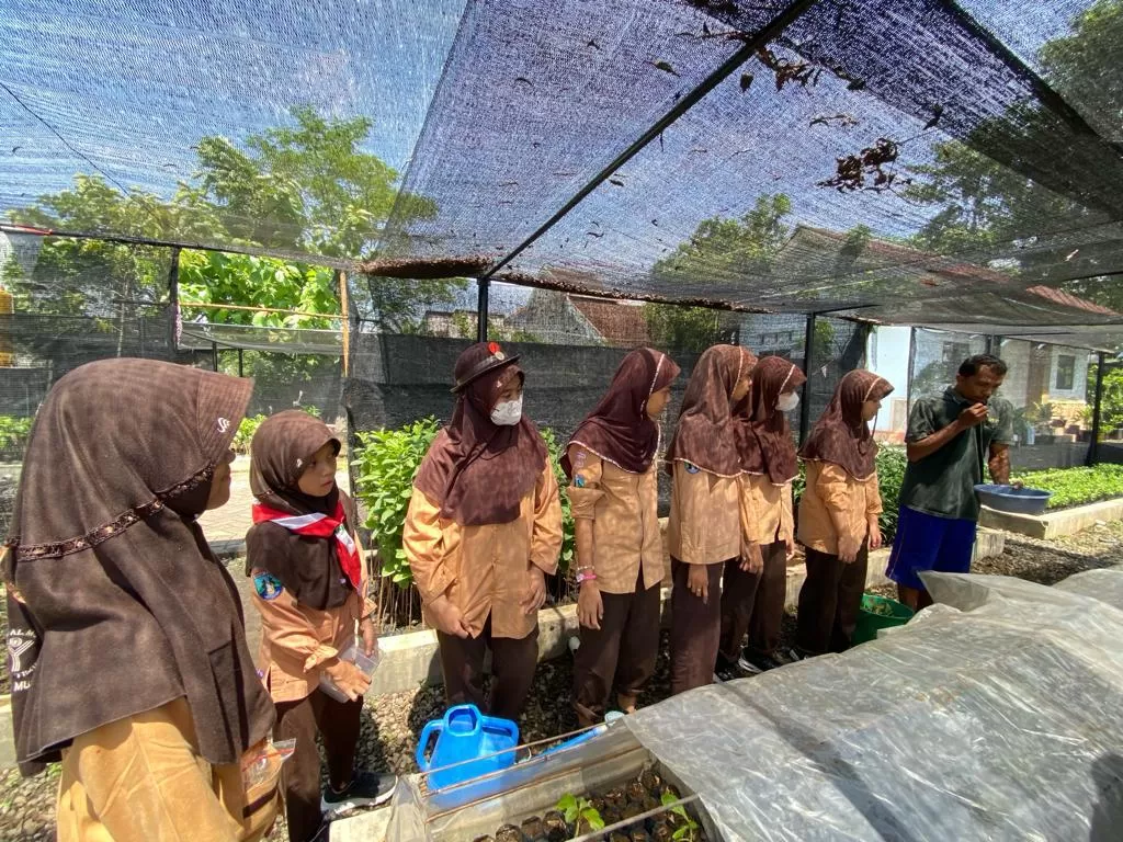 Kader Adiwiyata SD Al Muslim Belajar Tentang Pembibitan Tanaman Hutan